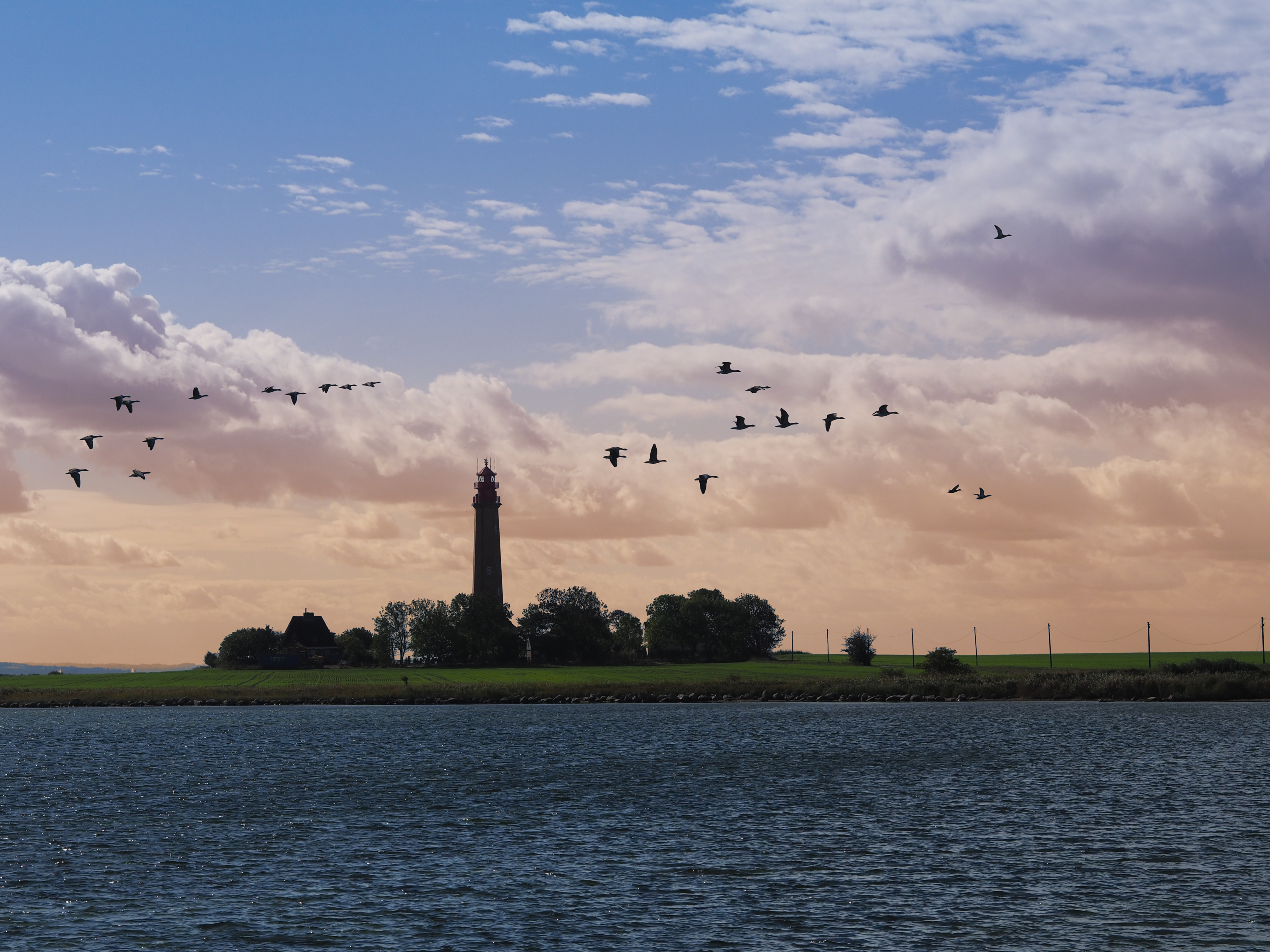 Leuchtturm Flügge in der Küstenlandschaft Fehmarns